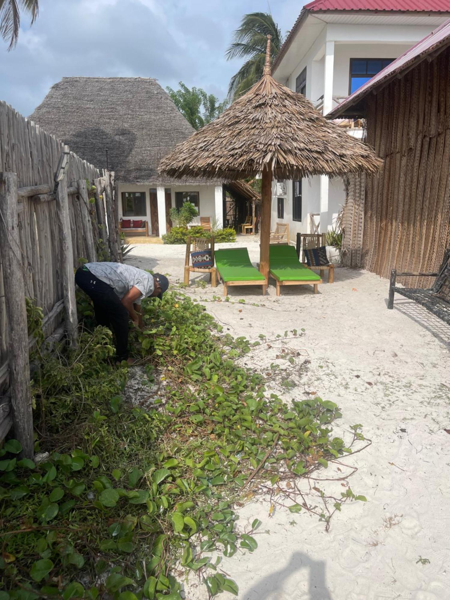 Zanzibar Beach Escape Appartement *