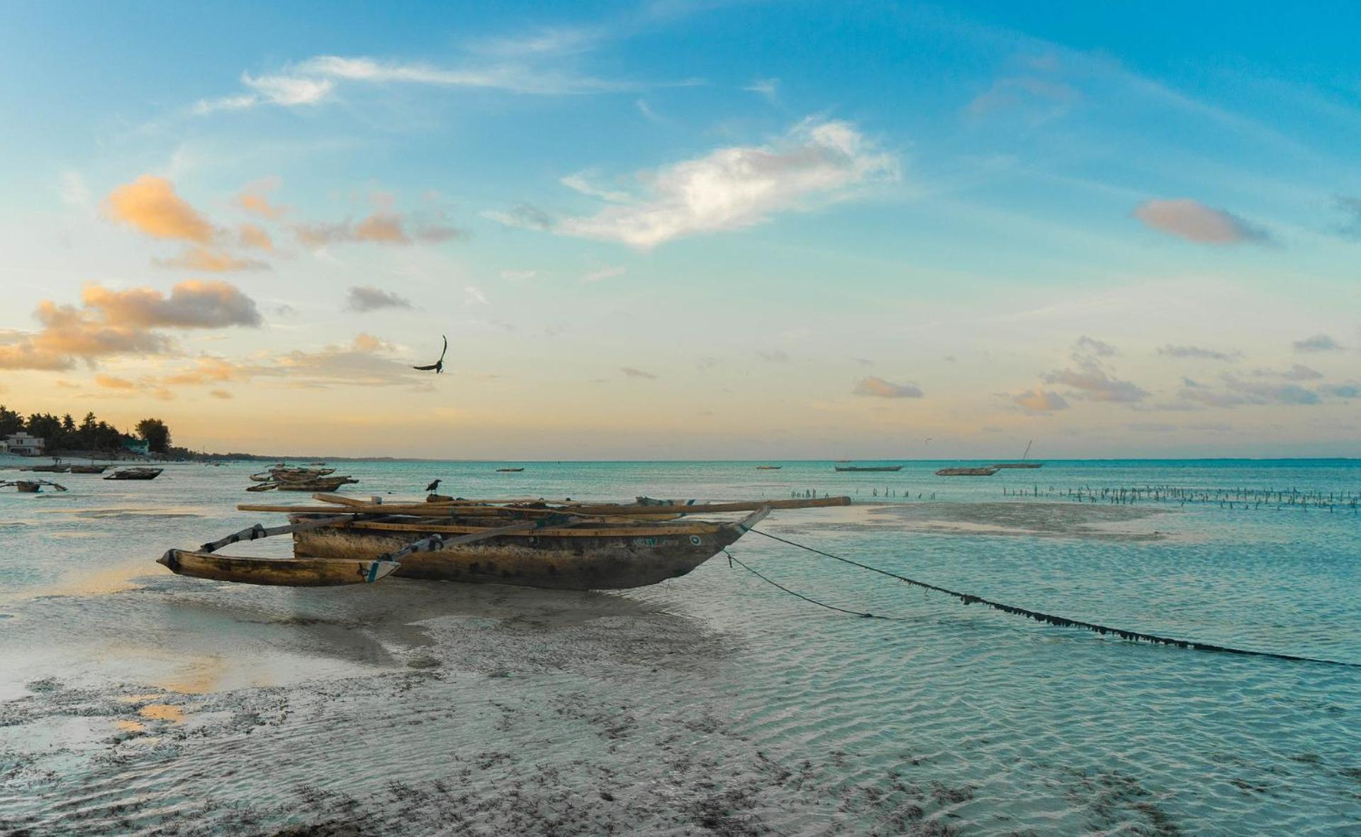 Lägenhet Zanzibar Beach Escape Bwejuu