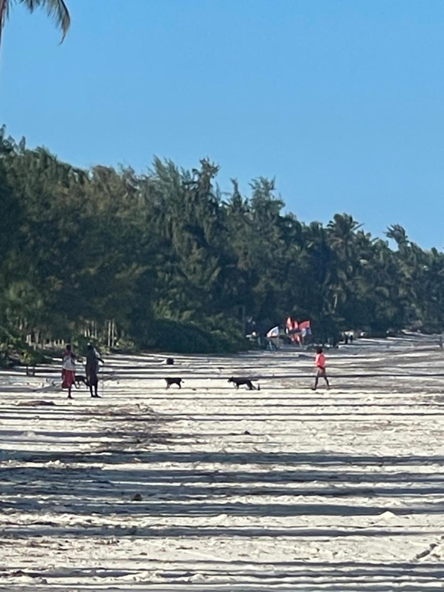 Zanzibar Beach Escape *