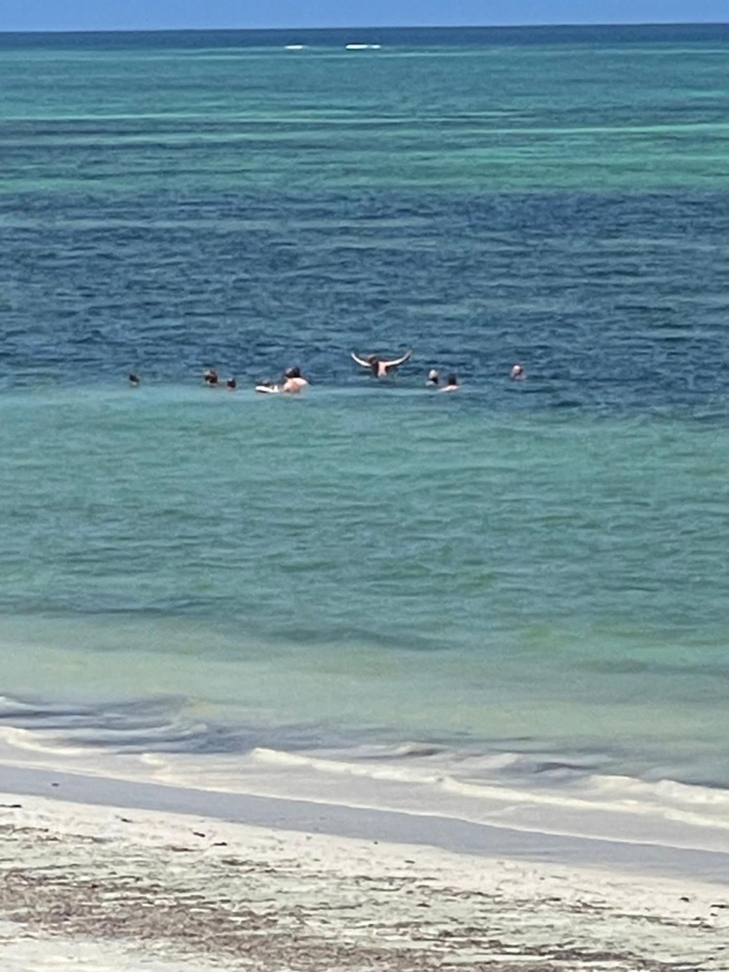 Zanzibar Beach Escape Bwejuu