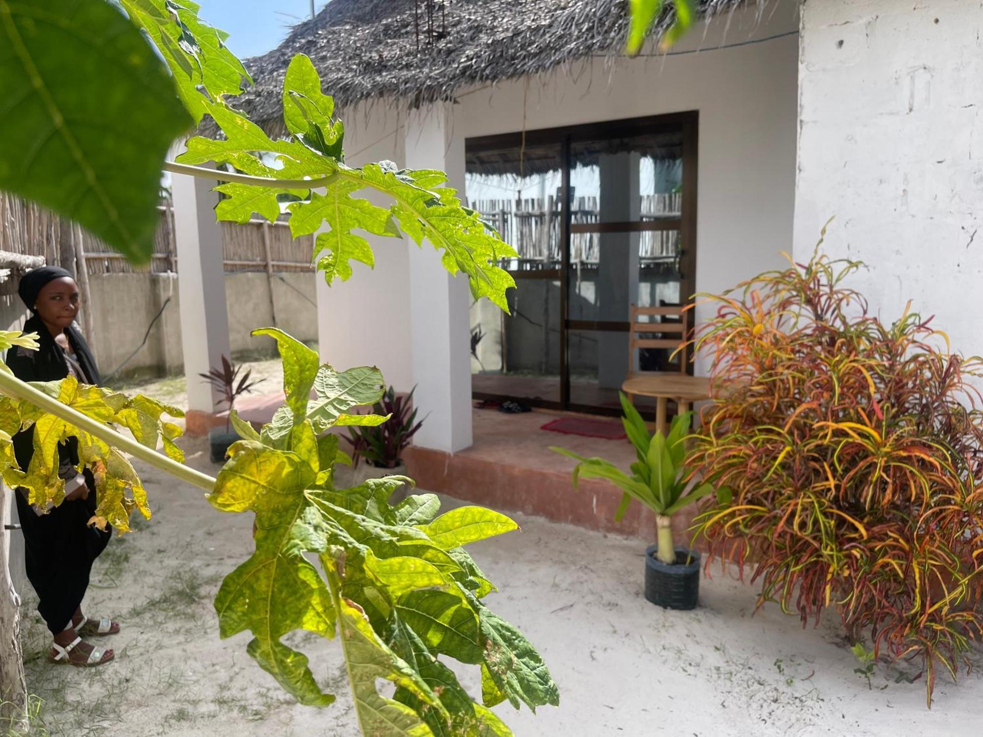 Lägenhet Zanzibar Beach Escape *