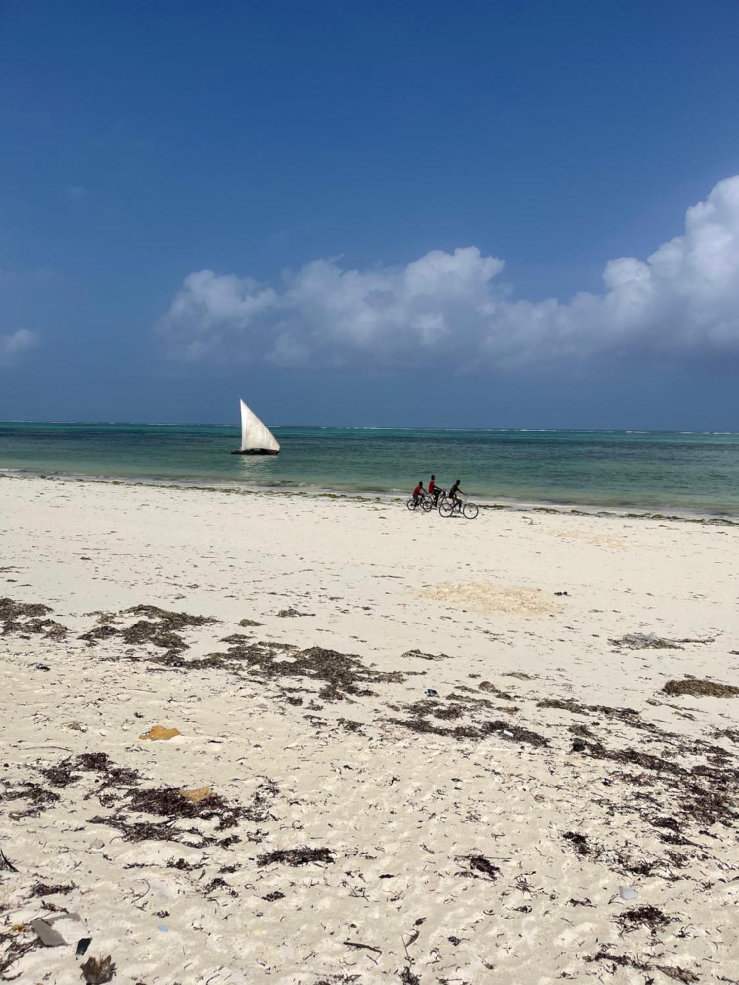 Lägenhet Zanzibar Beach Escape Bwejuu
