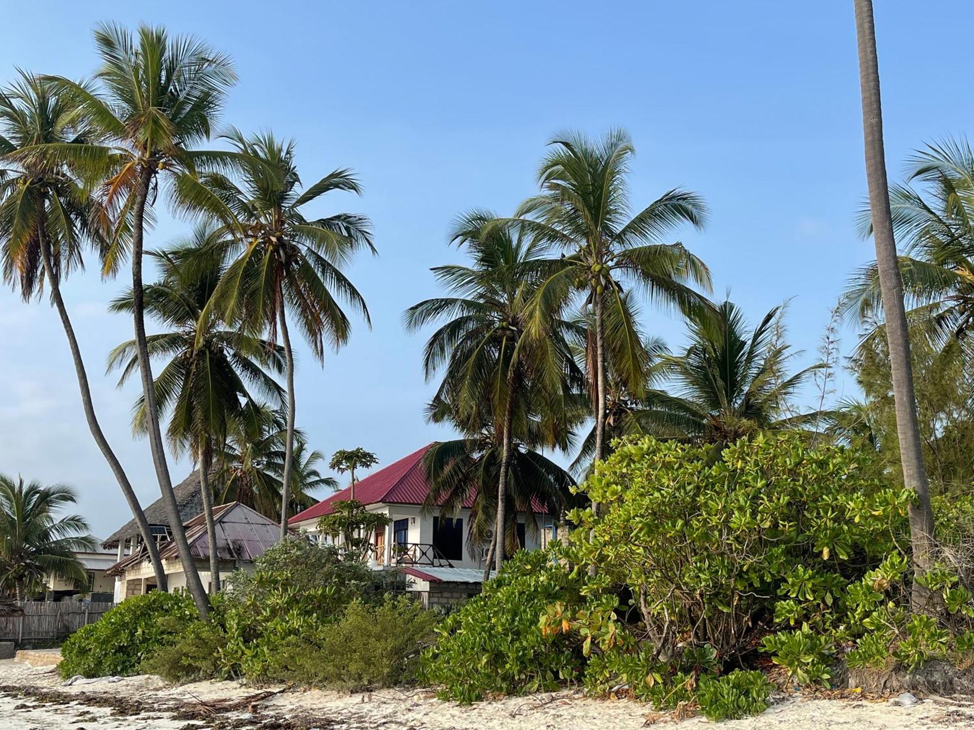 Zanzibar Beach Escape